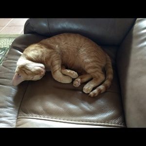 Meet your Posher, Melisa